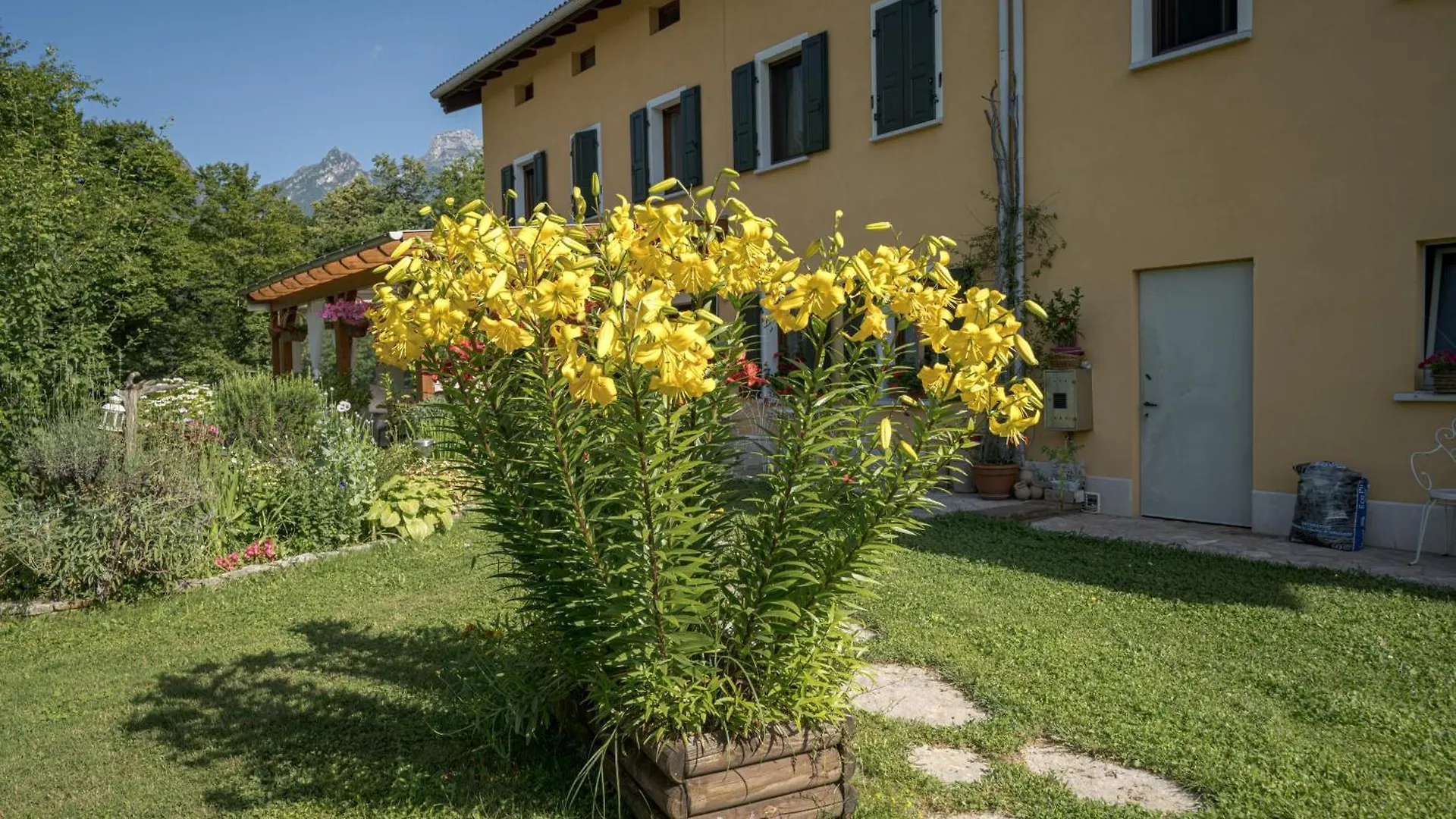 Bed & Breakfast Casa Edith Libano